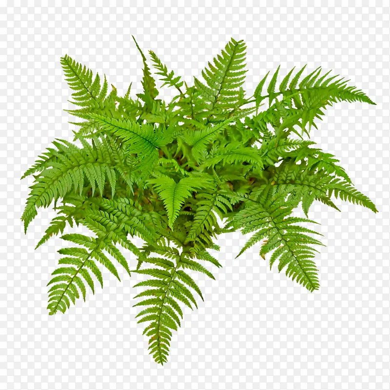 ��-������