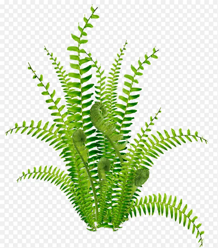 ��-������