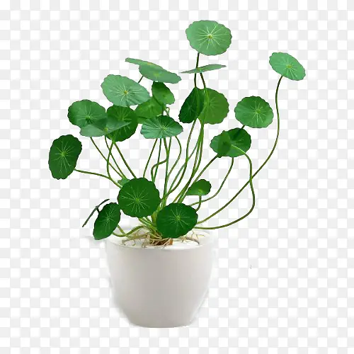 ͭǮ��װ���ز��������-������