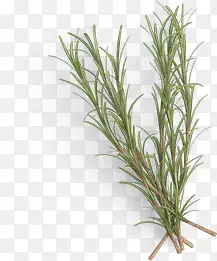 �̲�ͼ���ز�-������