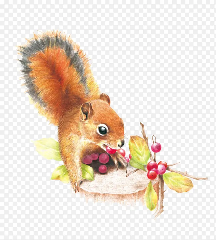 ʸ��ͼ-������