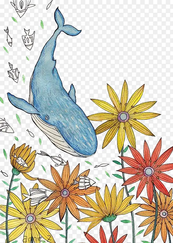 ˮ�ʺ���-������