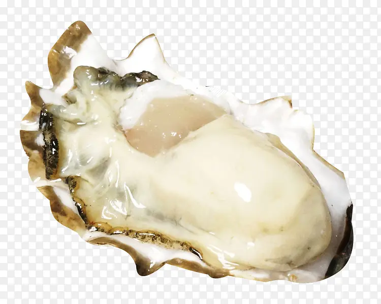 ����������ز�-������