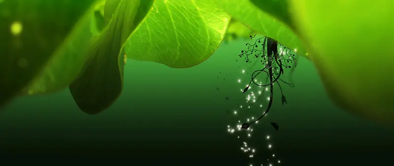 ��Ӱ��ɫ�Ĳݱ�ֲ��ϳ�-������