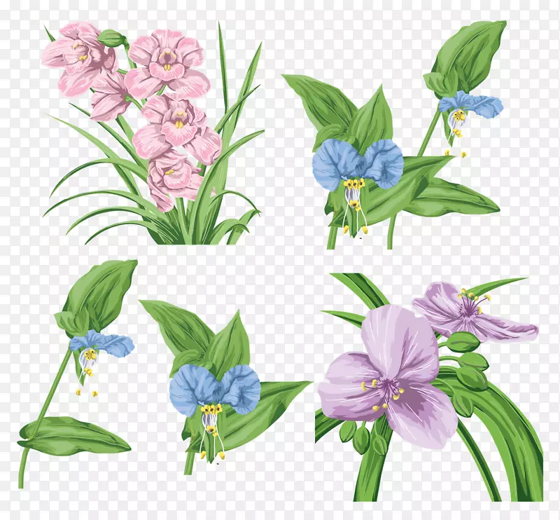 ֲ�ﻨ��-������