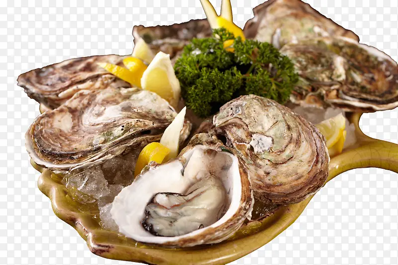 ��ʳĵ��-������