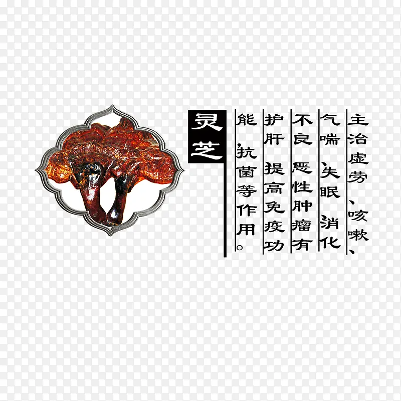 ��֥-������