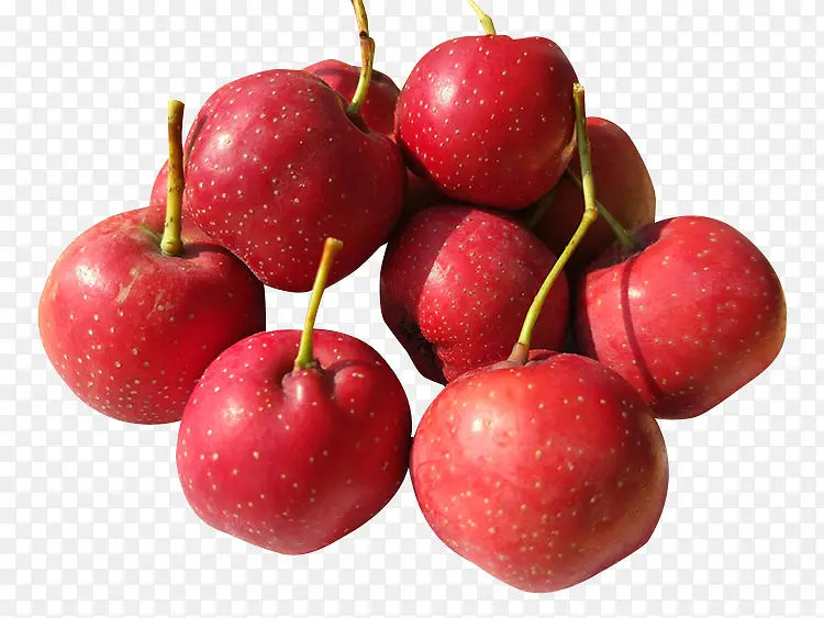 ɽ�-������