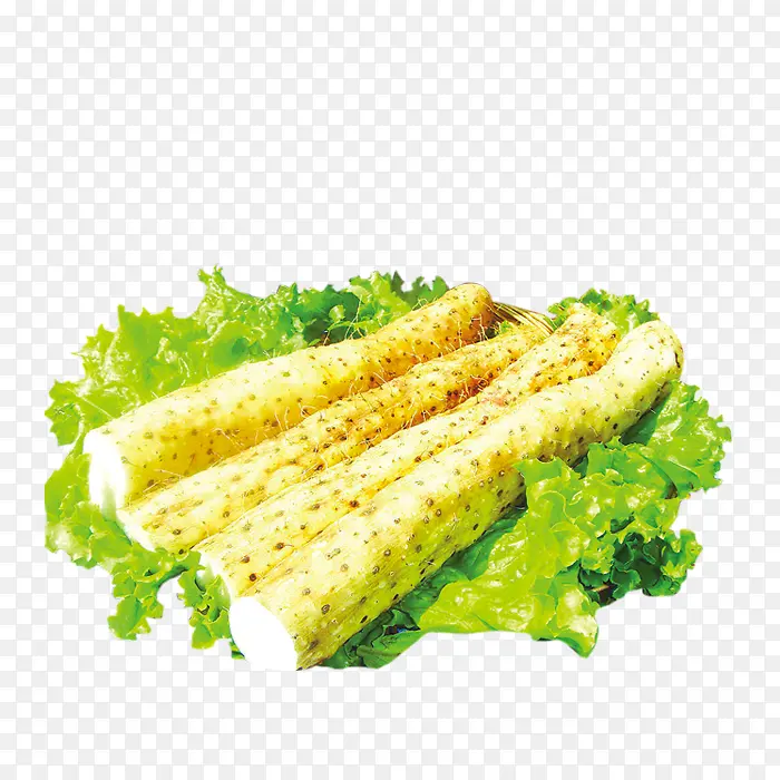 ɽҩ-������