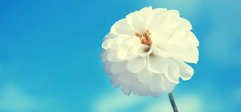 ����ͼ-������