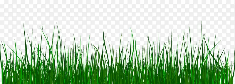 �̲�-������