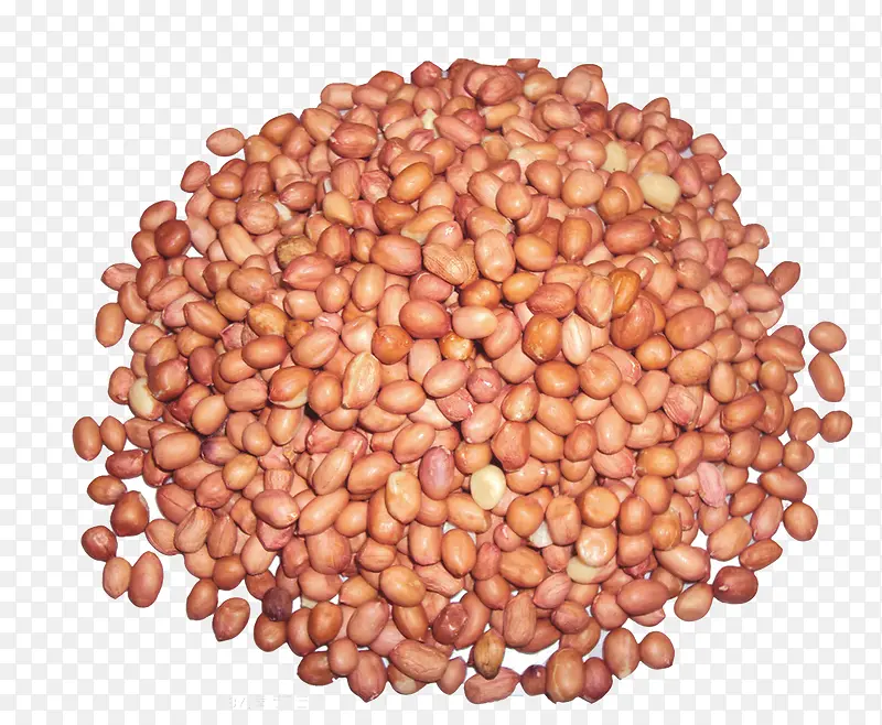 ʳ��-������