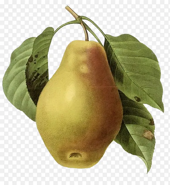 �����ʦ�ֻ���-������