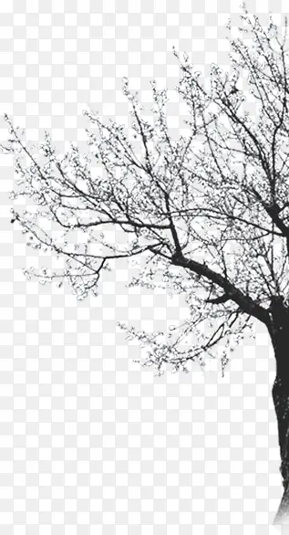 ������������滨-������