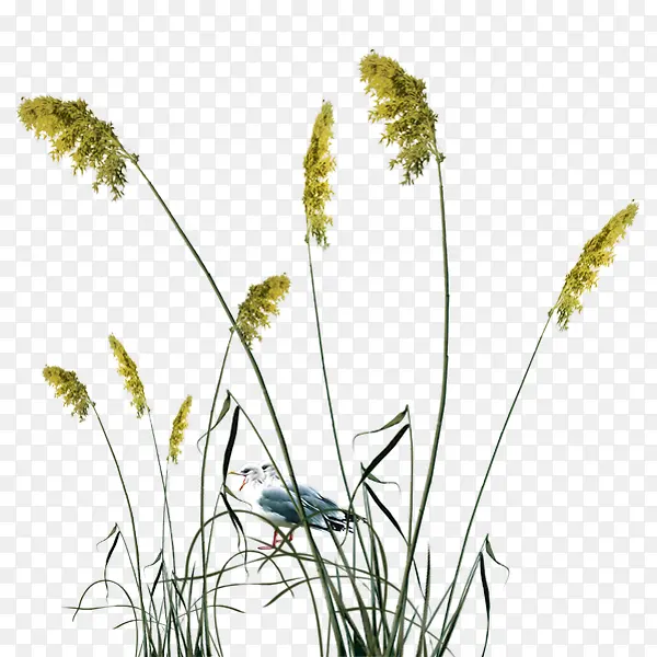 «έ-������