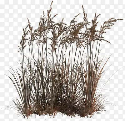 «έ-������