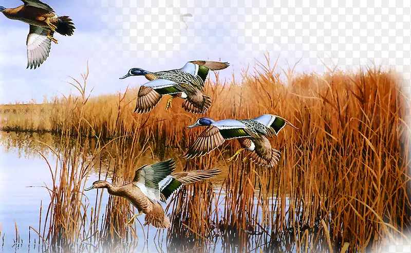 ������Ӱ�羰��«έ��-������