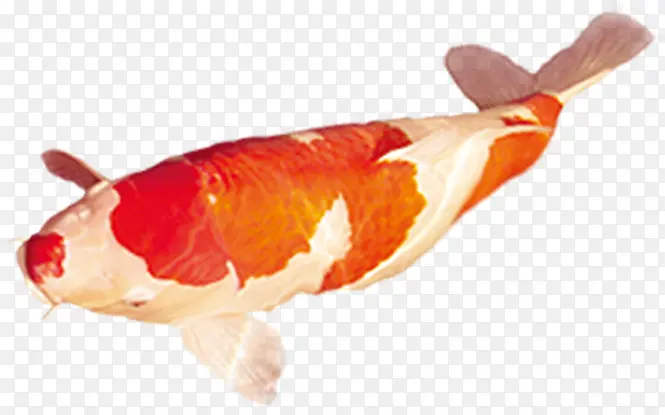 �ֻ洴�����㱳��-������