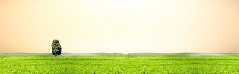 ����ʱ�б���-������