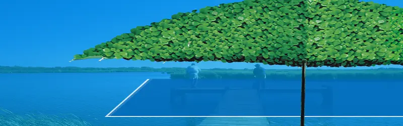 ����ʱ�б���-������