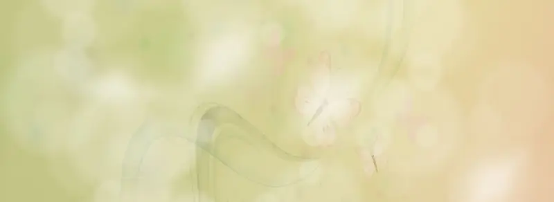 ����ʱ�б���-������