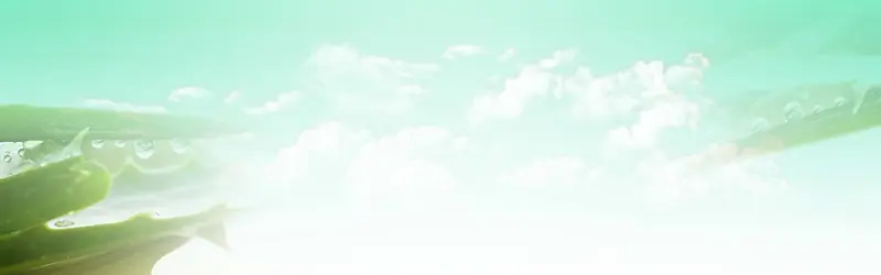 ����ʱ�б���-������