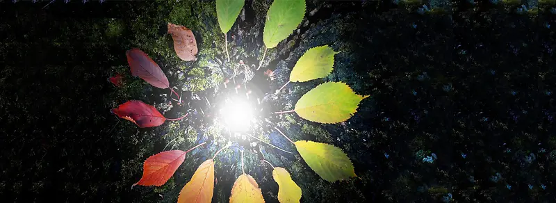 ����ʱ�б���-������