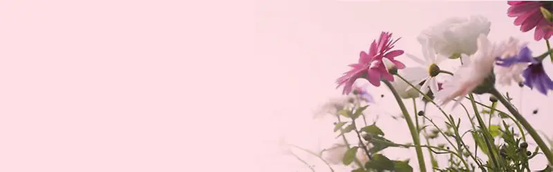 ����ʱ�б���-������