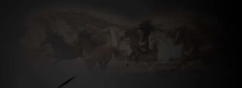 ����ʱ�б���-������