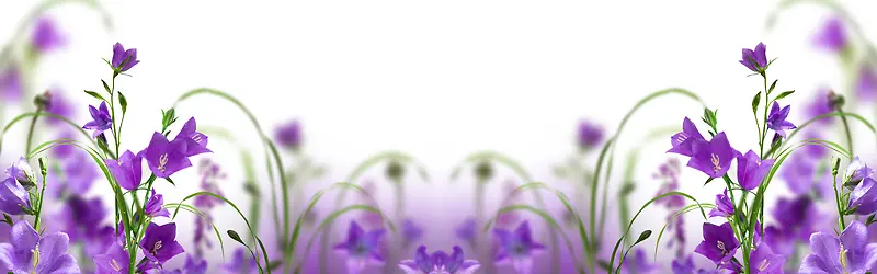 ����ʱ�б���-������