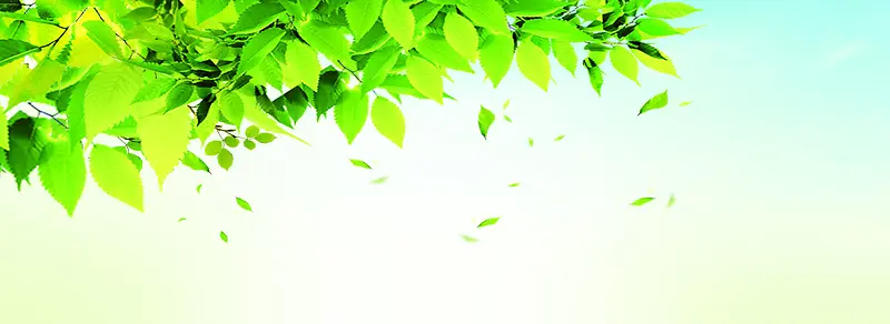 ����ʱ�б���-������