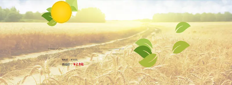 ����ʱ�б���-������