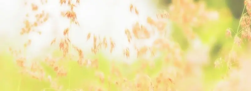 ����ʱ�б���-������