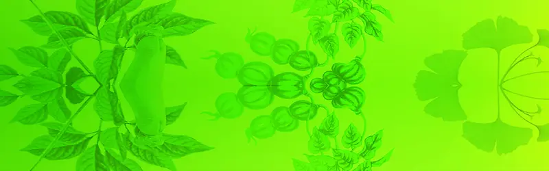 ����ʱ�б���-������