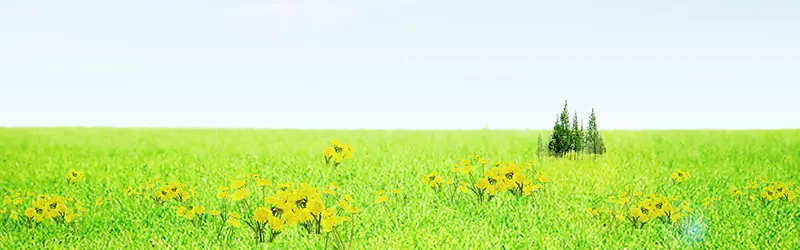 ����ʱ�б���-������