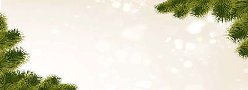 ����ʱ�б���-������