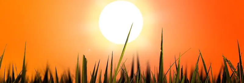 ����ʱ�б���-������