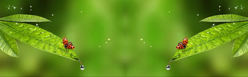 ����ʱ�б���ͼ-������