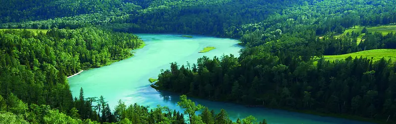 ����ʱ�б���-������