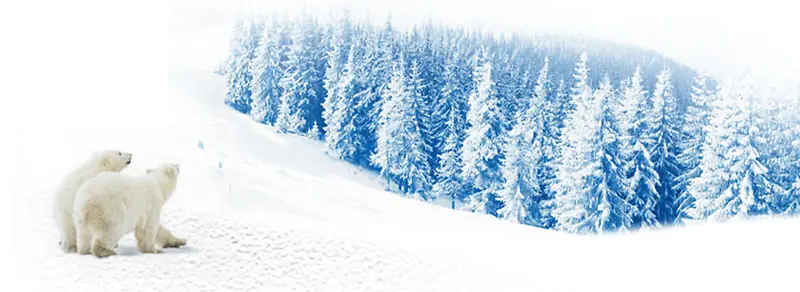 ����ʱ�б���-������