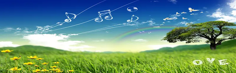 �����Լ����-������