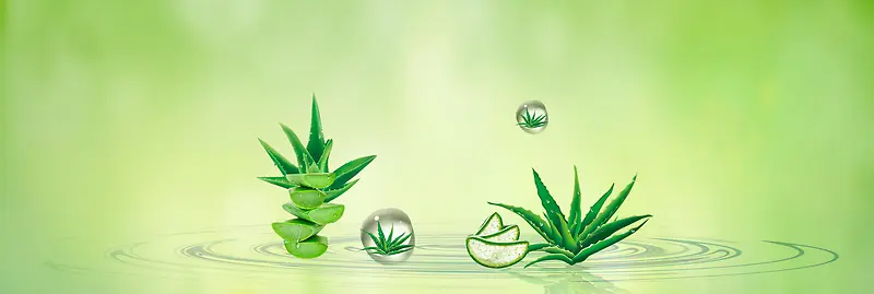 ����ʱ�б���-������