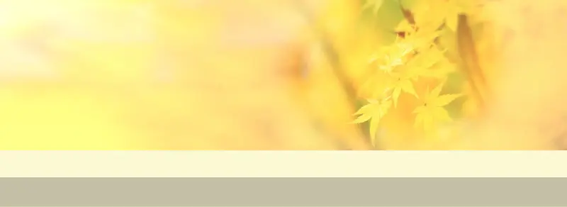 ����ʱ�б���ͼ-������