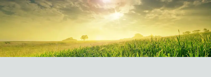 ����ʱ�б���-������