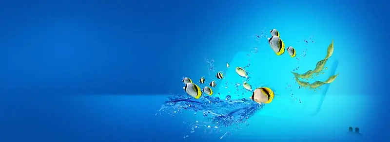 ����ʱ�б���-������