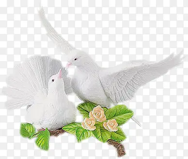 ��������Ϣ�İ׸���Ӱ-������