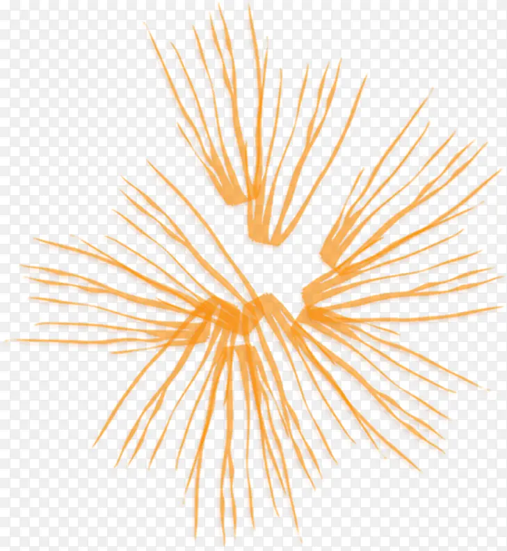 ʱ�к��������Ч��-������