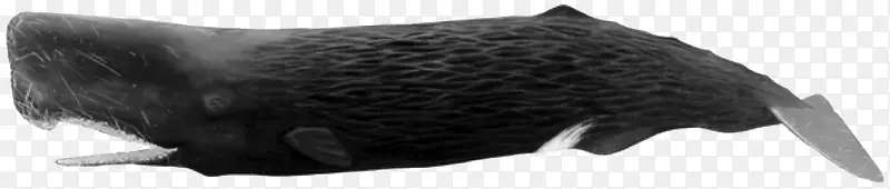 ������Ӱ��ɫ�ĺ���Ч��-������