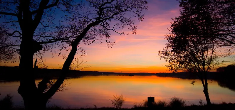 ��Ʒ����-������