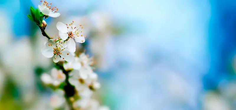 ��Ʒ����-������